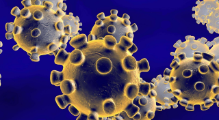 Coronavirus